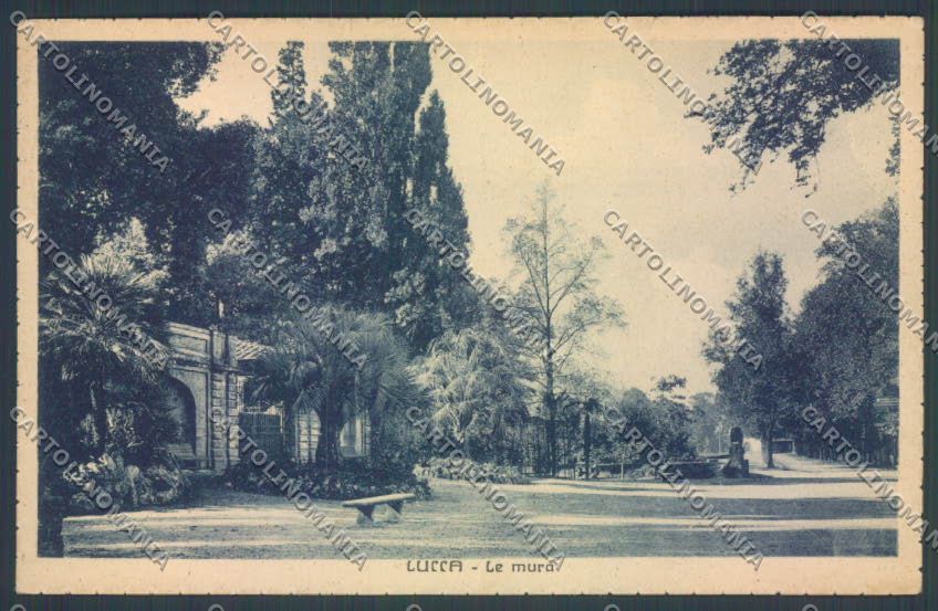 Lucca Città STRAPPINO cartolina ZB3600 – fronte