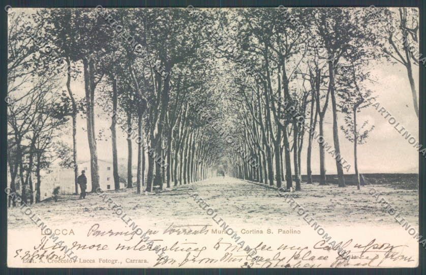 Lucca Città cartolina ZB3618 – fronte