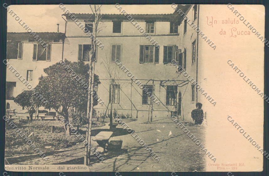 Lucca Città ABRASA PIEGHINA cartolina ZB3630 – fronte
