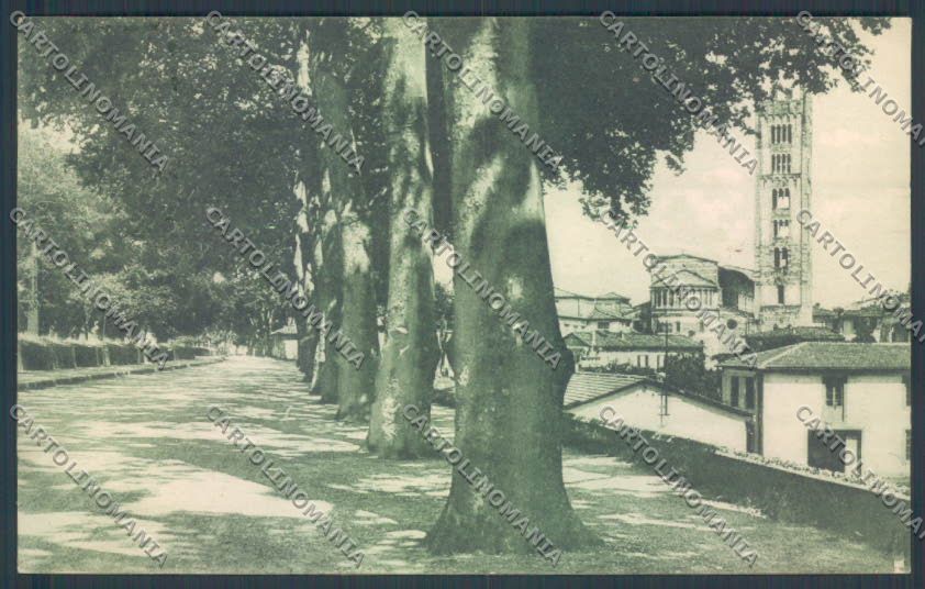 Lucca Città cartolina ZB3658 – fronte