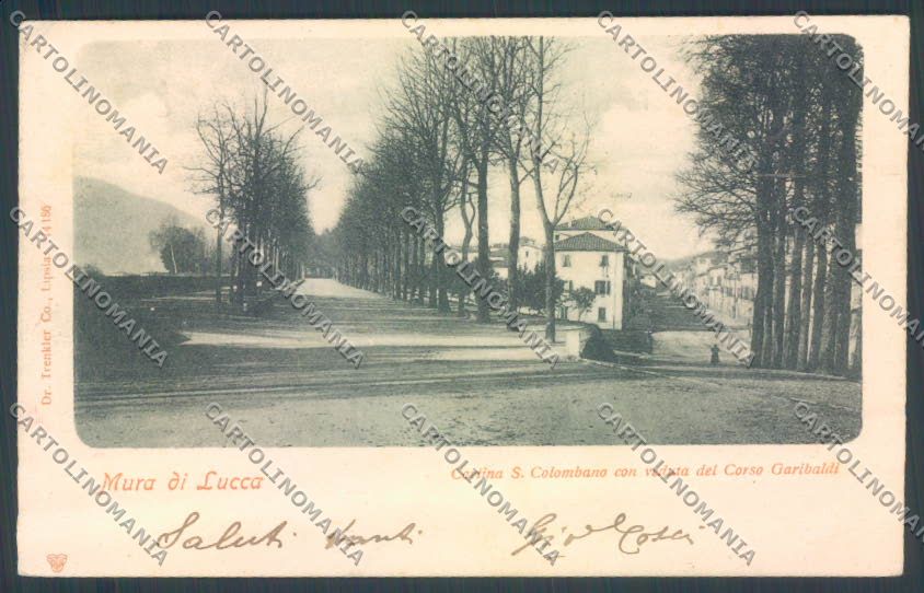Lucca Città cartolina ZB3662 – fronte