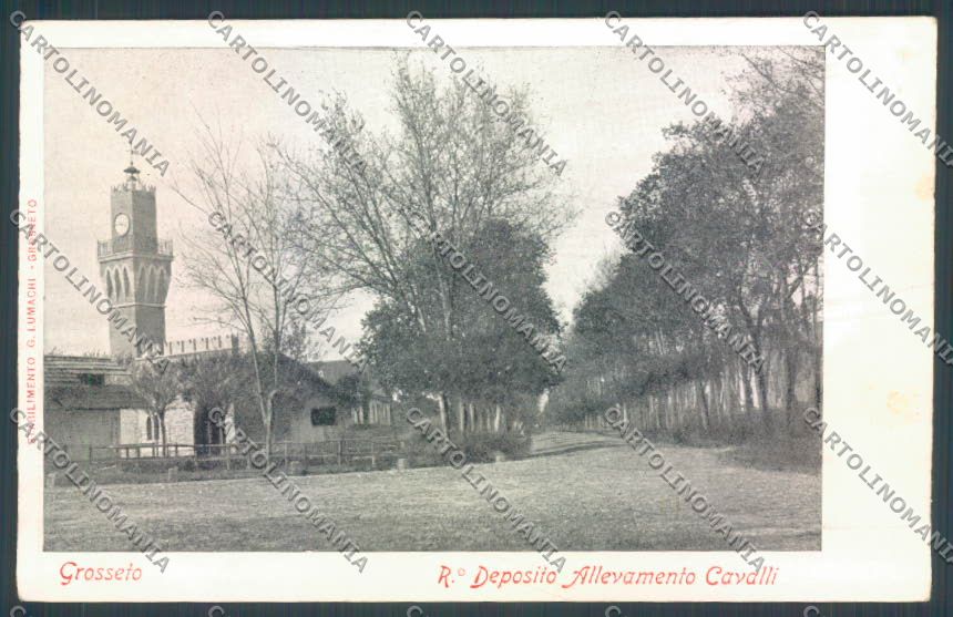 Grosseto Città cartolina ZB3721 – fronte