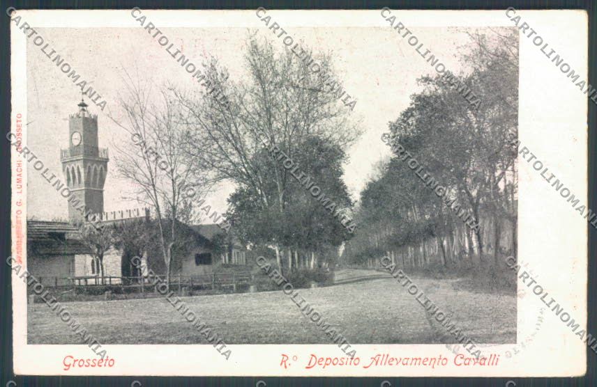 Grosseto Città PIEGHE cartolina ZB3723 – fronte