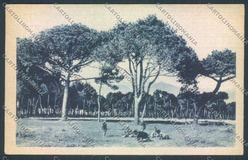 Lucca Forte dei Marmi cartolina ZB3835 – fronte
