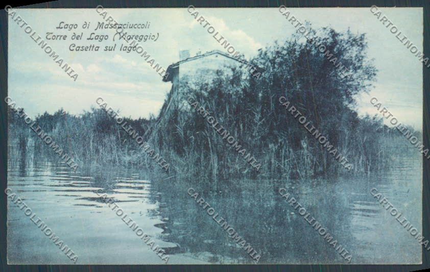 Lucca Viareggio Torre del Lago Massaciuccoli cartolina ZB3974 – fronte
