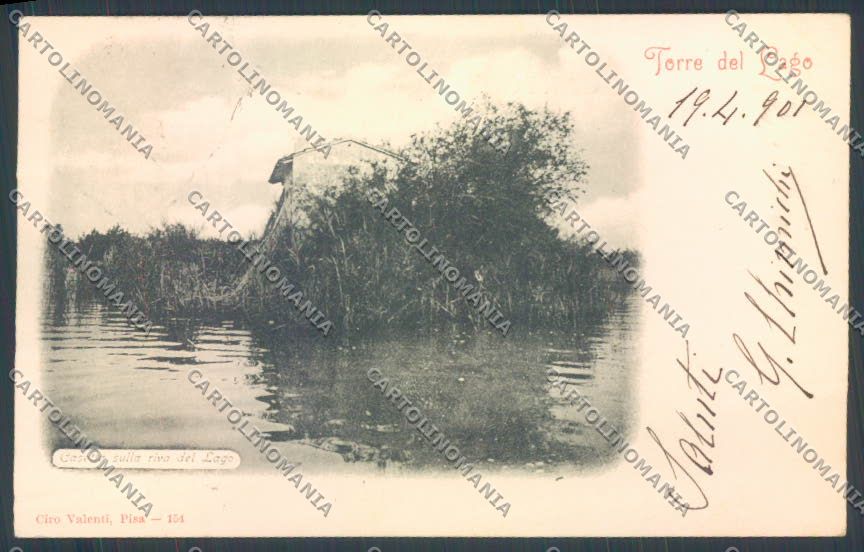 Lucca Viareggio Torre del Lago cartolina ZB3975 – fronte