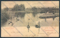 Lucca Viareggio Torre del Lago Massaciuccoli cartolina ZB3976 – fronte