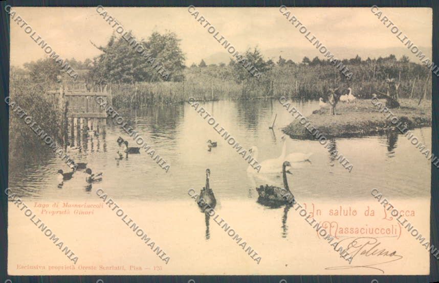 Lucca Viareggio Torre del Lago Massaciuccoli PIEGA cartolina ZB3982 – fronte