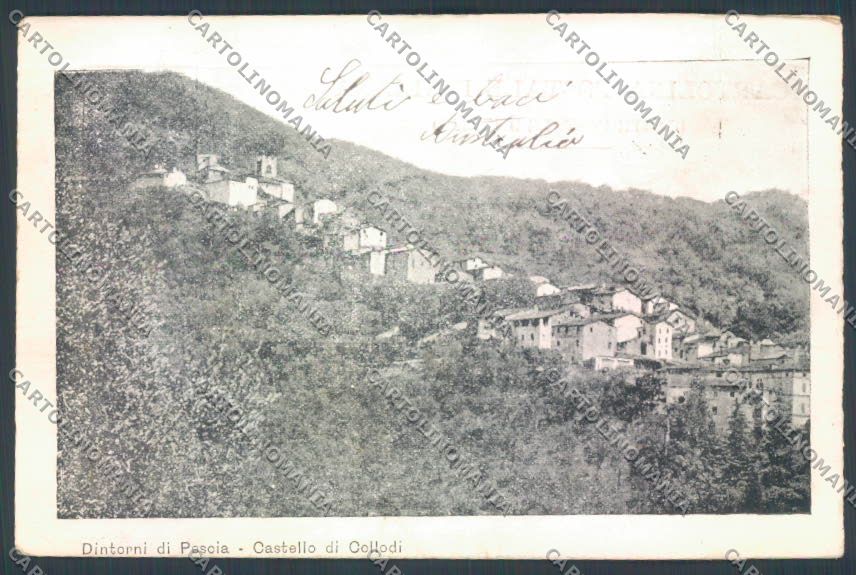 Pistoia Collodi cartolina ZB4498 – fronte
