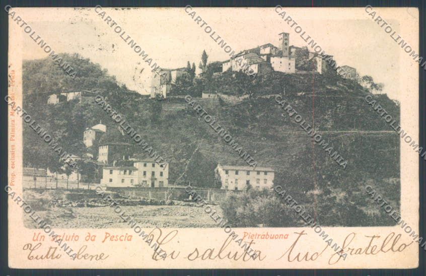 Pistoia Pescia Pietrabuona PIEGA cartolina ZB4503 – fronte