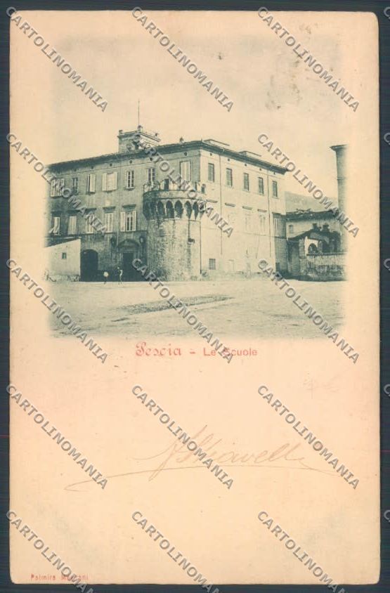 Pistoia Pescia Scuola cartolina ZB4505 – fronte