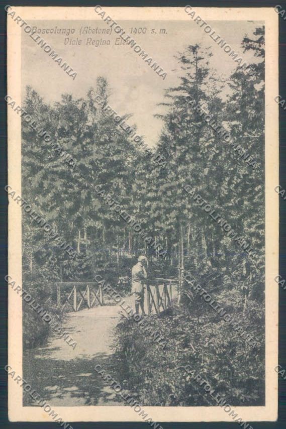 Pistoia Boscolungo cartolina ZB4529 – fronte