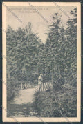 Pistoia Boscolungo cartolina ZB4529 – fronte