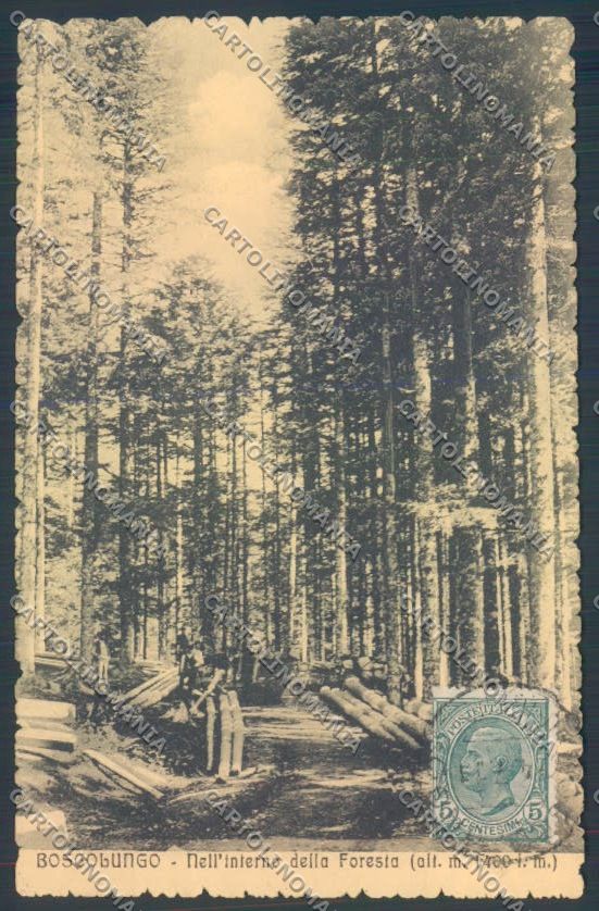 Pistoia Boscolungo cartolina ZB4539 – fronte