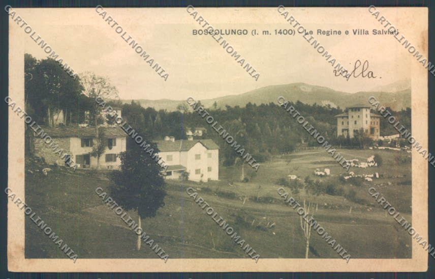 Pistoia Boscolungo Le Regine cartolina ZB4544 – fronte