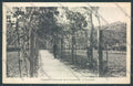 Firenze Fiesole cartolina ZB4722 – fronte