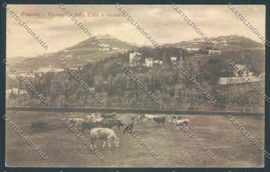 Firenze Fiesole cartolina ZB4733 – fronte