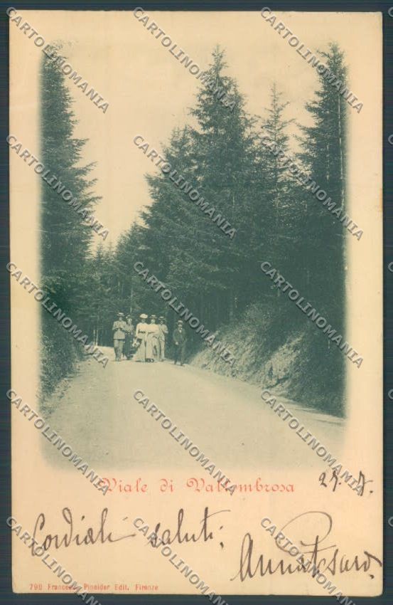 Firenze Vallombrosa PIEGHINE cartolina ZB4784 – fronte