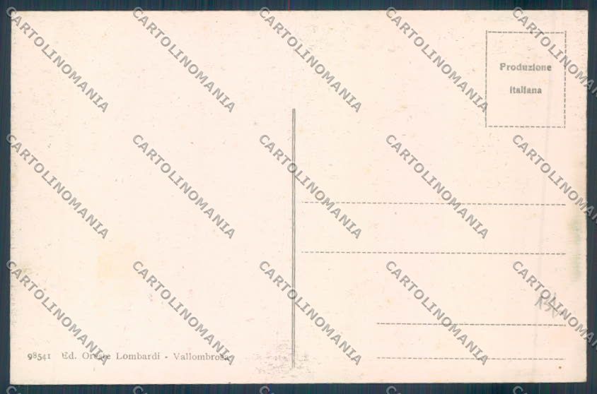 Firenze Vallombrosa cartolina ZB4787 – retro