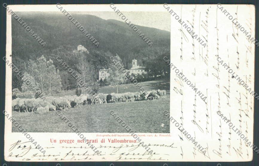 Firenze Vallombrosa Gregge PIEGATA cartolina ZB4789 – fronte