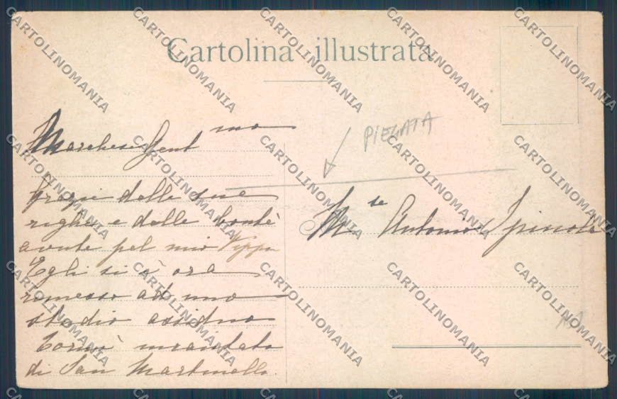 Firenze Vallombrosa Gregge PIEGATA cartolina ZB4789 – retro