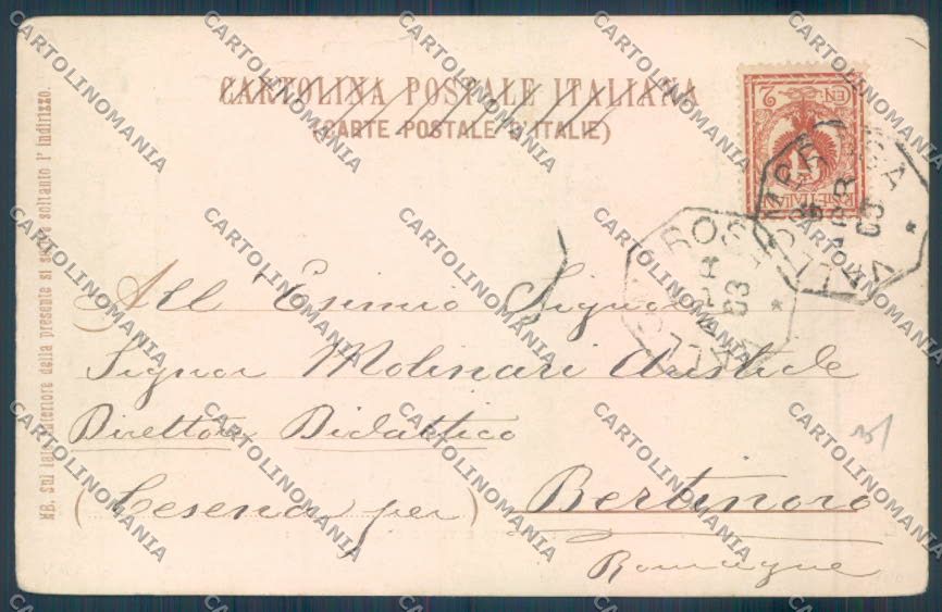 Firenze Vallombrosa cartolina ZB4793 – retro
