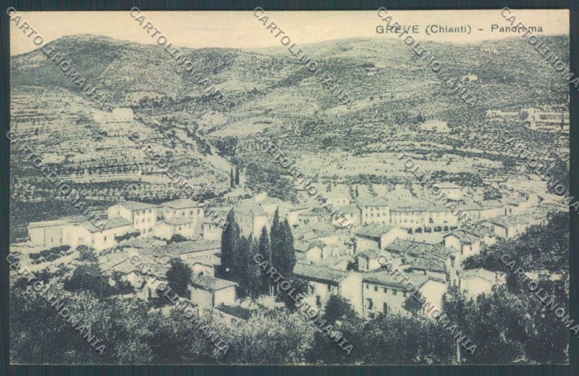 Firenze Greve in Chianti cartolina ZB4851 – fronte