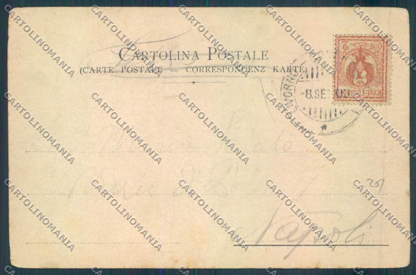 Livorno Città Tram cartolina ZB5080 – retro