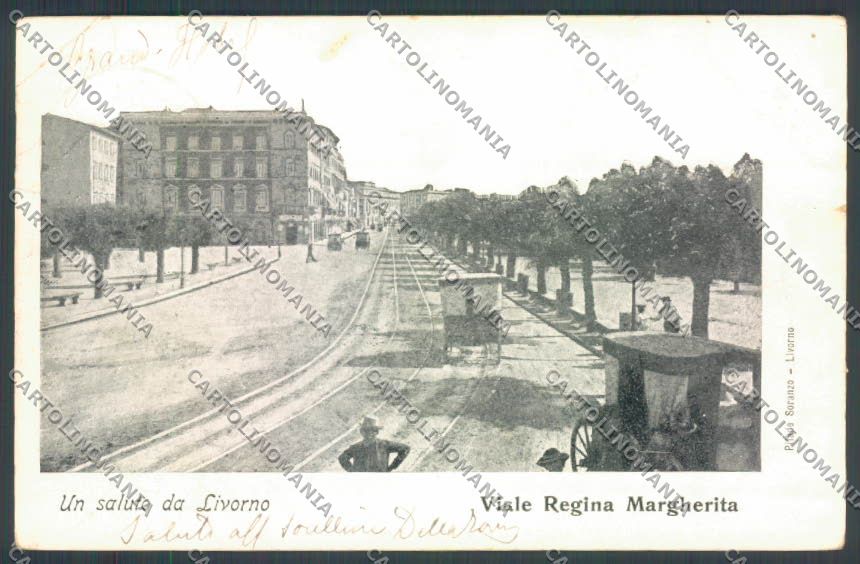 Livorno Città PIEGA cartolina ZB5084 – fronte