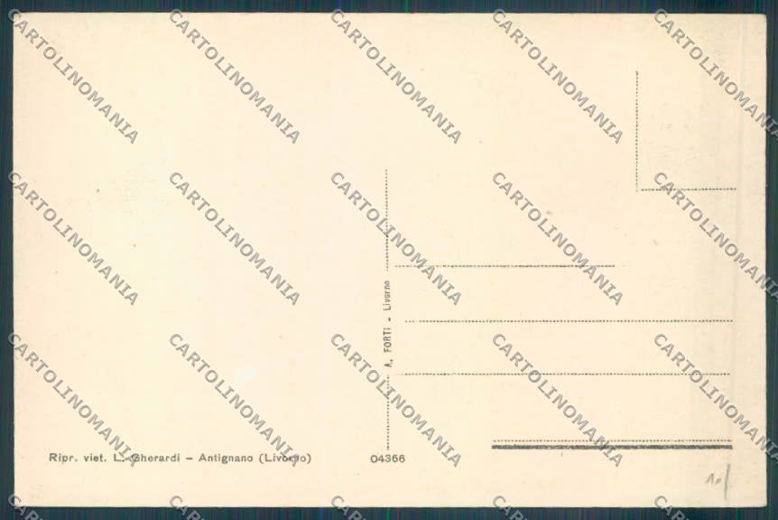 Livorno Antignano cartolina ZB5093 – retro