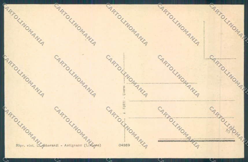 Livorno Antignano cartolina ZB5112 – retro
