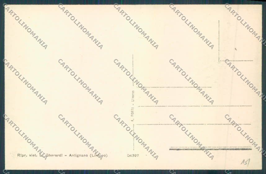 Livorno Antignano cartolina ZB5119 – retro
