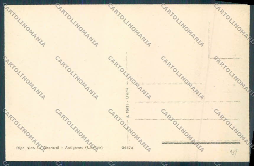Livorno Antignano cartolina ZB5120 – retro
