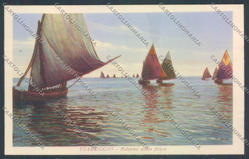 Lucca Viareggio cartolina ZB5300 – fronte