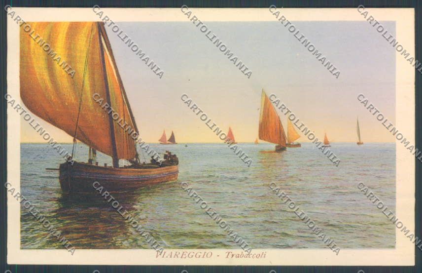 Lucca Viareggio cartolina ZB5301 – fronte