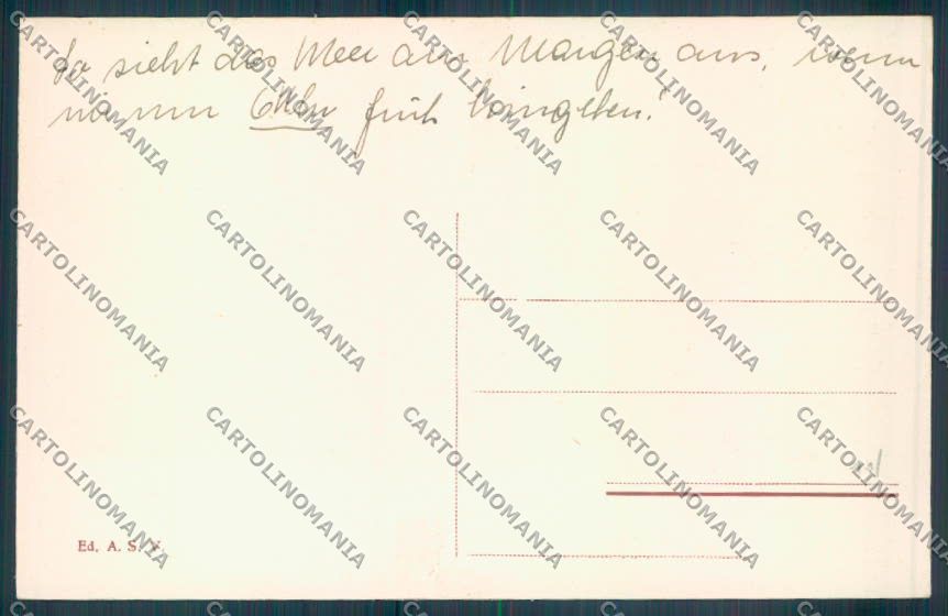 Lucca Viareggio cartolina ZB5301 – retro
