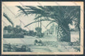 Lucca Viareggio cartolina ZB5310 – fronte