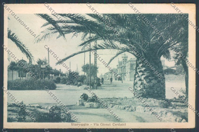Lucca Viareggio cartolina ZB5310 – fronte