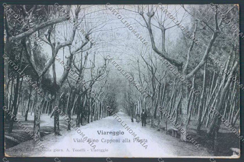 Lucca Viareggio PIEGHINA cartolina ZB5312 – fronte