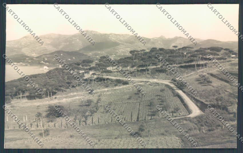 Livorno Porto Azzurro Foto cartolina ZB5381 – fronte
