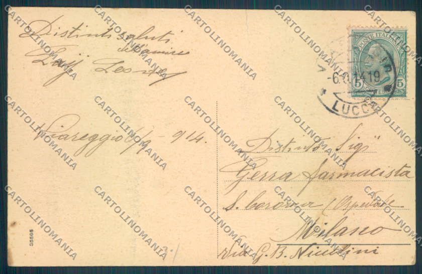 Lucca Viareggio PIEGA cartolina ZB5524 – retro