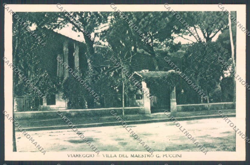 Lucca Viareggio cartolina ZB5539 – fronte