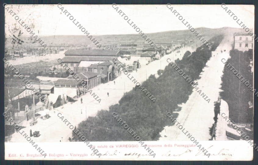 Lucca Viareggio cartolina ZB5542 – fronte