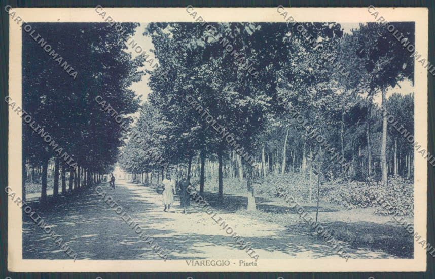 Lucca Viareggio cartolina ZB5557 – fronte