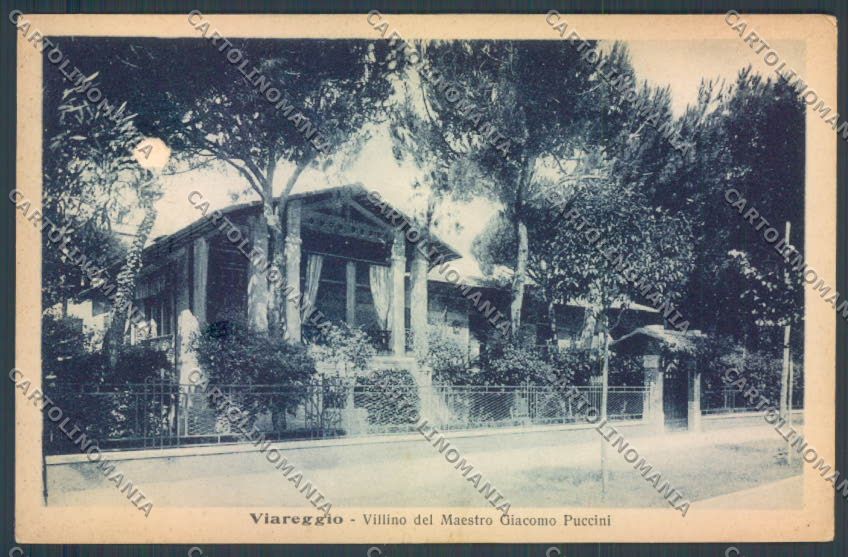 Lucca Viareggio cartolina ZB5561 – fronte