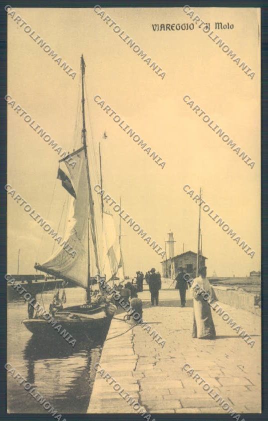 Lucca Viareggio cartolina ZB5584 – fronte