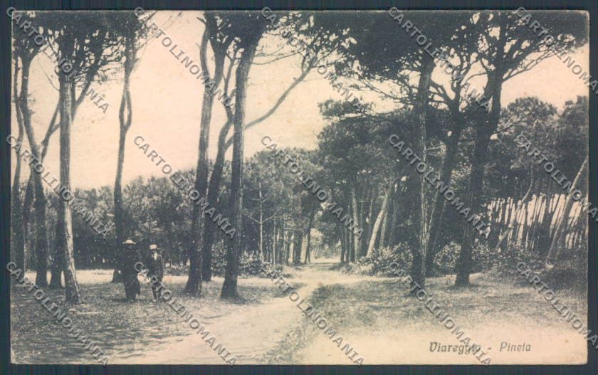 Lucca Viareggio cartolina ZB5615 – fronte