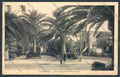 Lucca Viareggio cartolina ZB5631 – fronte
