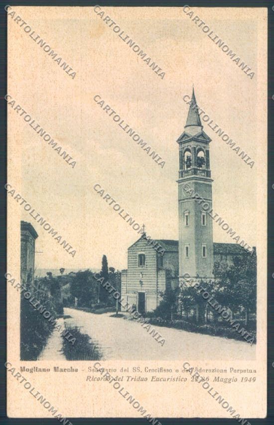 Macerata Mogliano Marche Alterocca cartolina ZB5721 – fronte