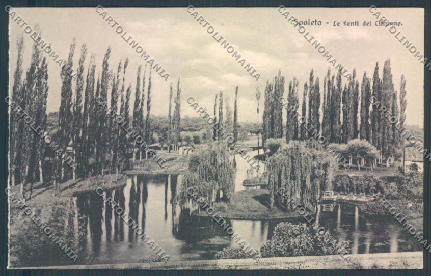 Perugia Spoleto Fonti del Clitumno cartolina ZB5930 – fronte
